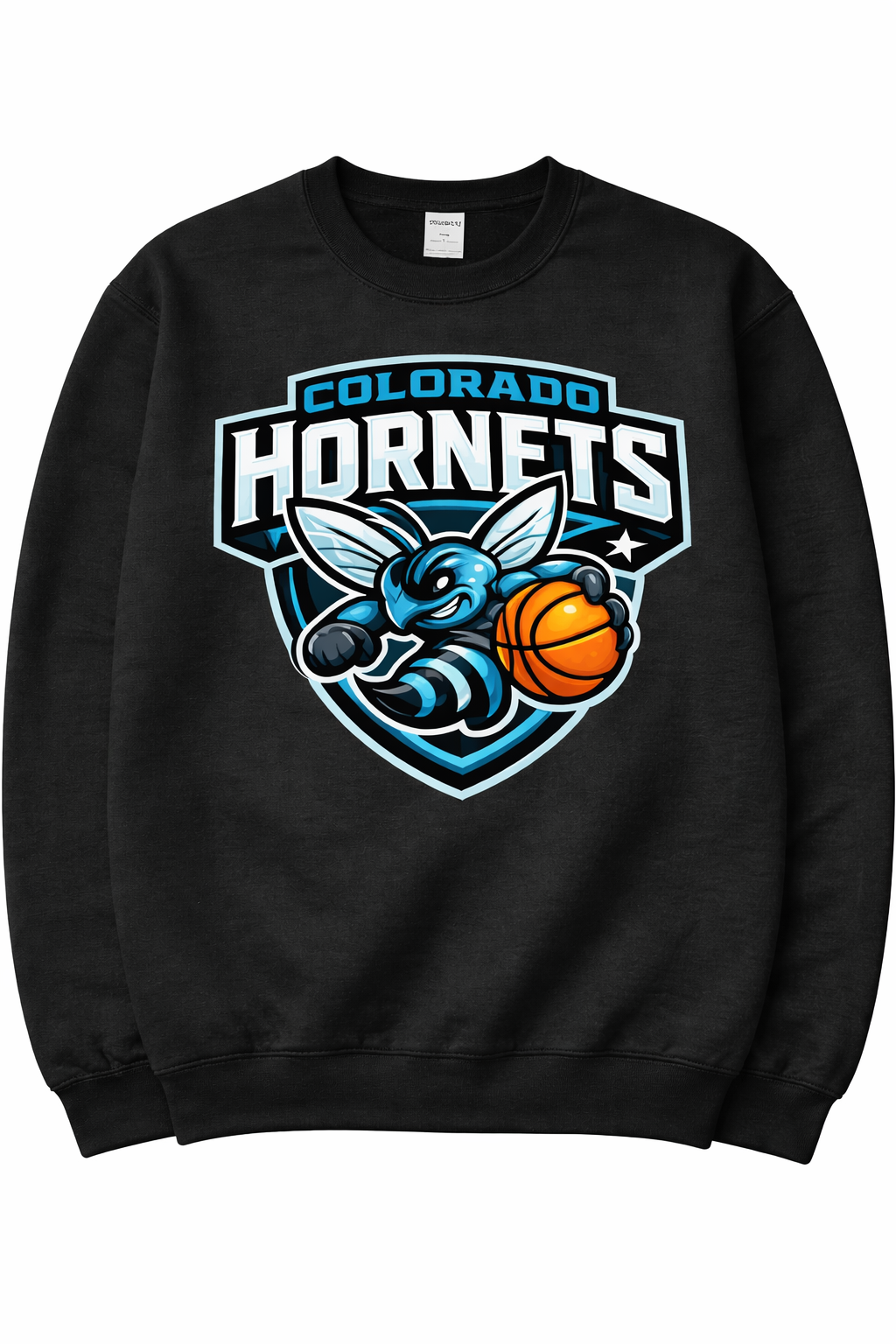 CO Hornets Sweatshirt